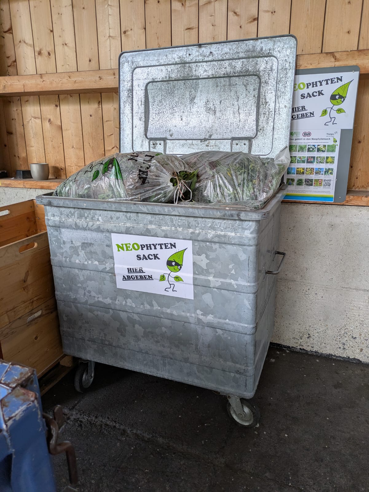 Neophyten Container