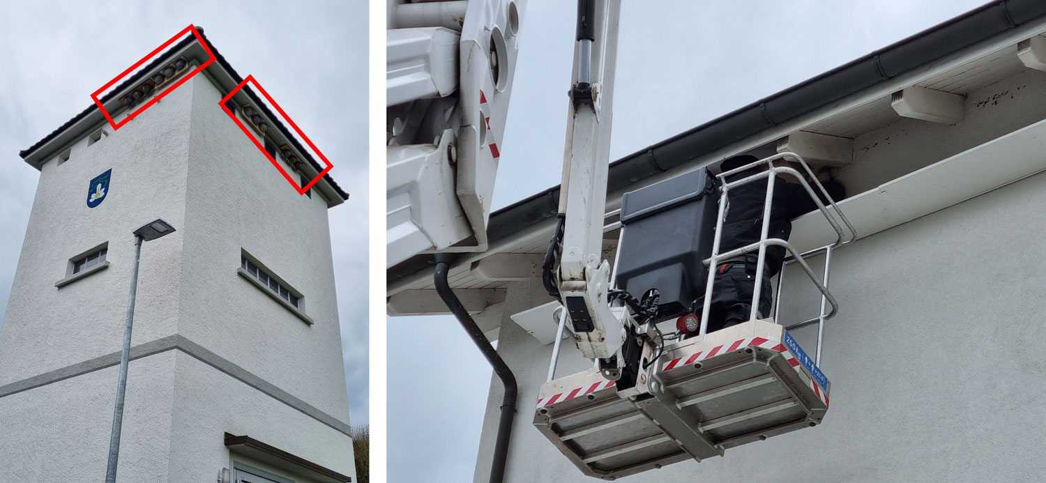 Montage Mehlschwalbennester