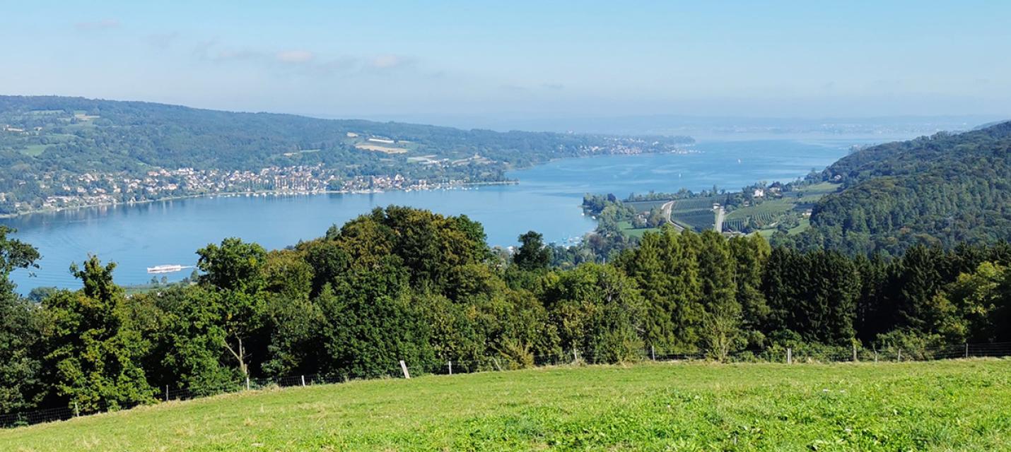 oberhalb Mammern