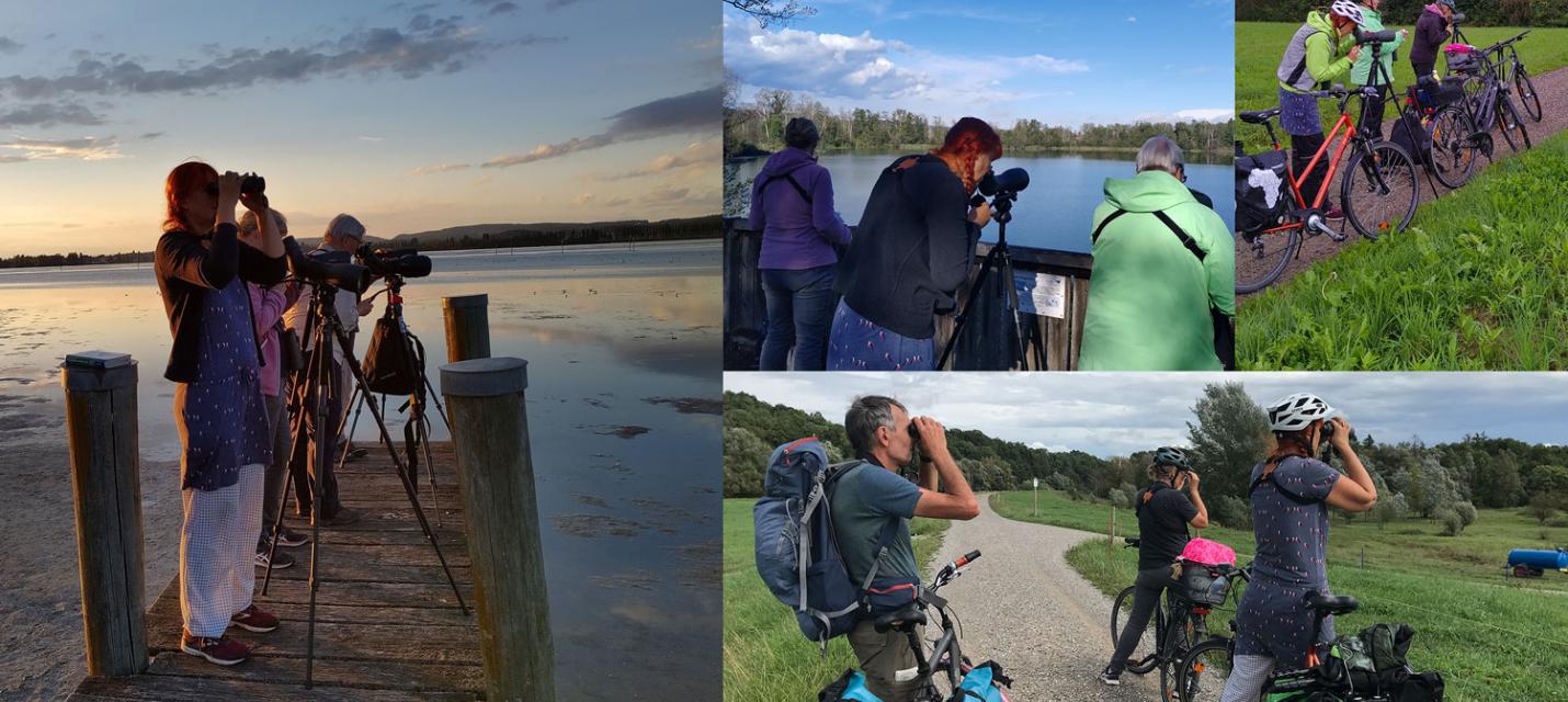 Bird Race 22 - Team Unterseeschwalben