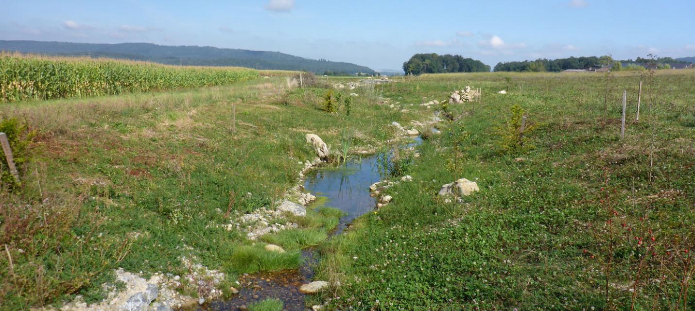 Bachlauf 