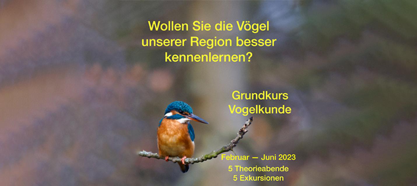 Grundkurs Vogelkunde