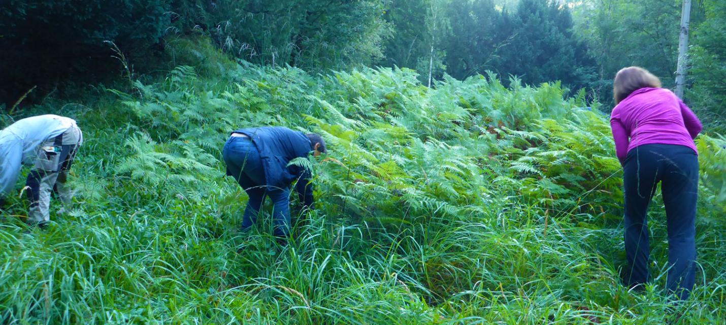 Naturschutz-Aktionstag22
